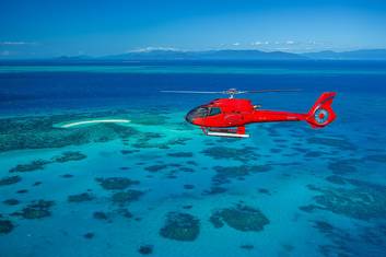 Half Day - Heli both ways to Reef Cruise